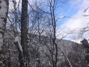 IMG_1590