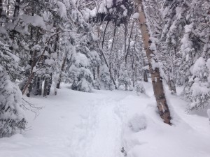 IMG_1602