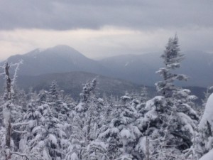 IMG_1611