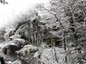 IMG_0617