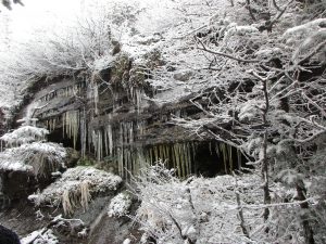 IMG_0618